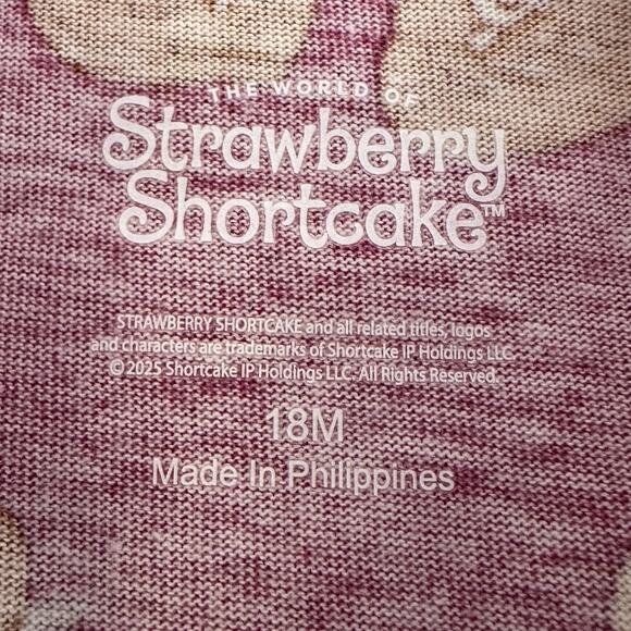 Strawberry Shortcake Baby Girls Short Sleeve Dress size 18 Months New - Picture 4 of 6